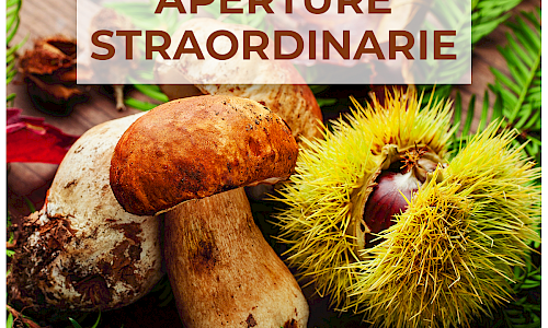 le-aperture-straordinarie-del-1-novembre-1